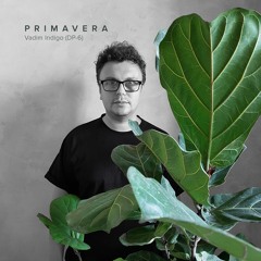 Vadim Indigo (DP-6) - Primavera