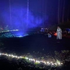 @ Forest Rave (04.09.2022)