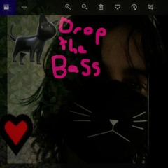 Drop The Bass