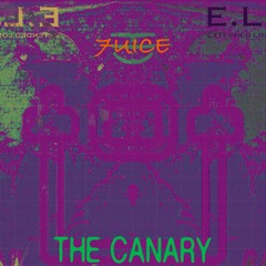 The Canary