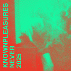 NEVER (OUT NOW ON BANDCAMP)