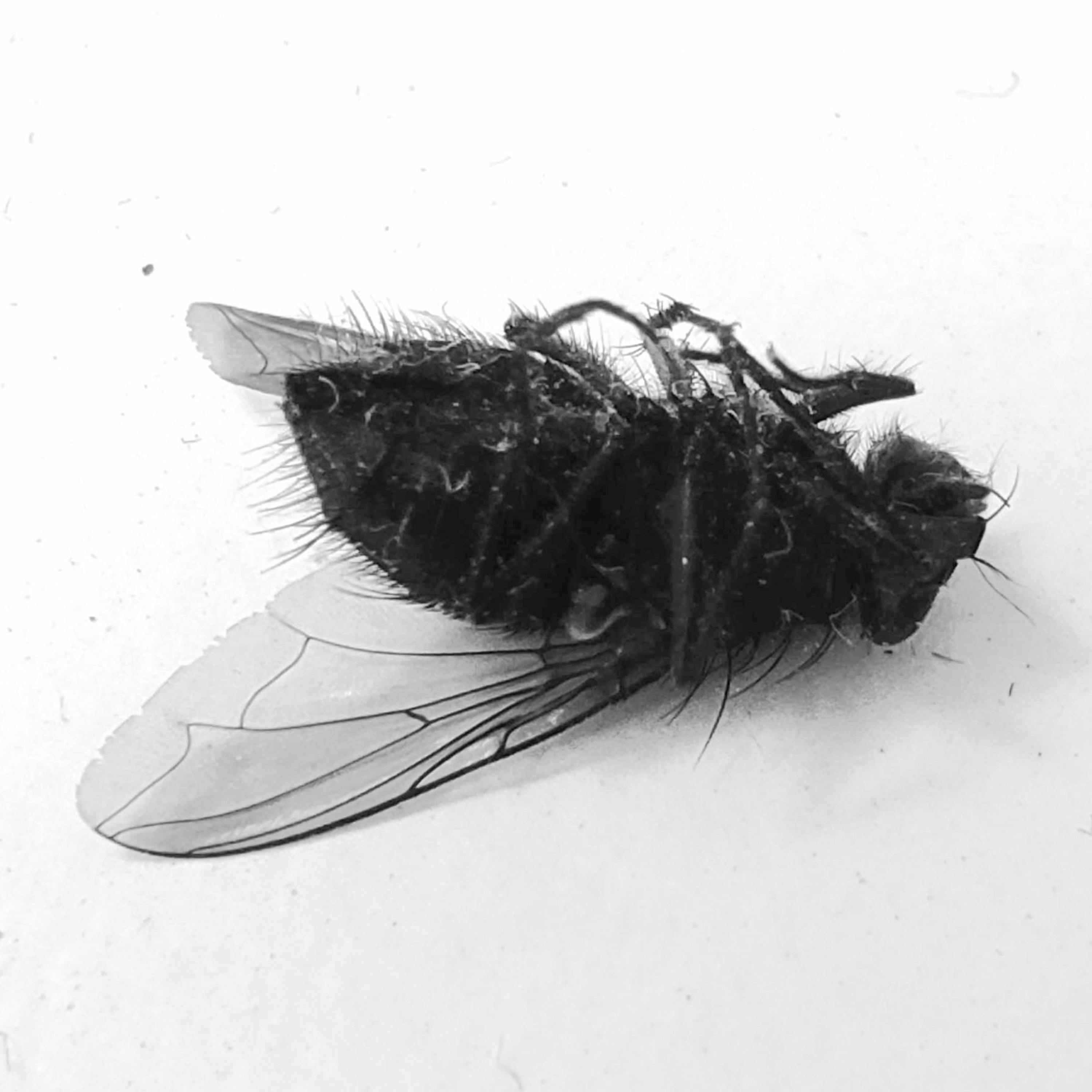 Back to the deck 5 "Proof of concept" episode artwork