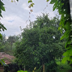 Old Projects ~ Ch1ma (Beat)