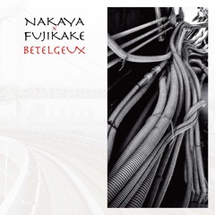 中屋浩市×藤掛正隆「カリフォルニア・オーバーイート/California Overeat」