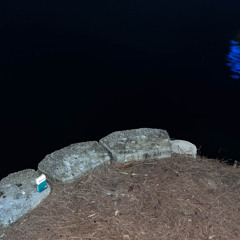 mentol, preto/pássaro