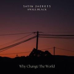 Why Change The World