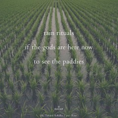 Oryzae (naviarhaiku599)