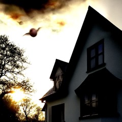 Phantom Limb