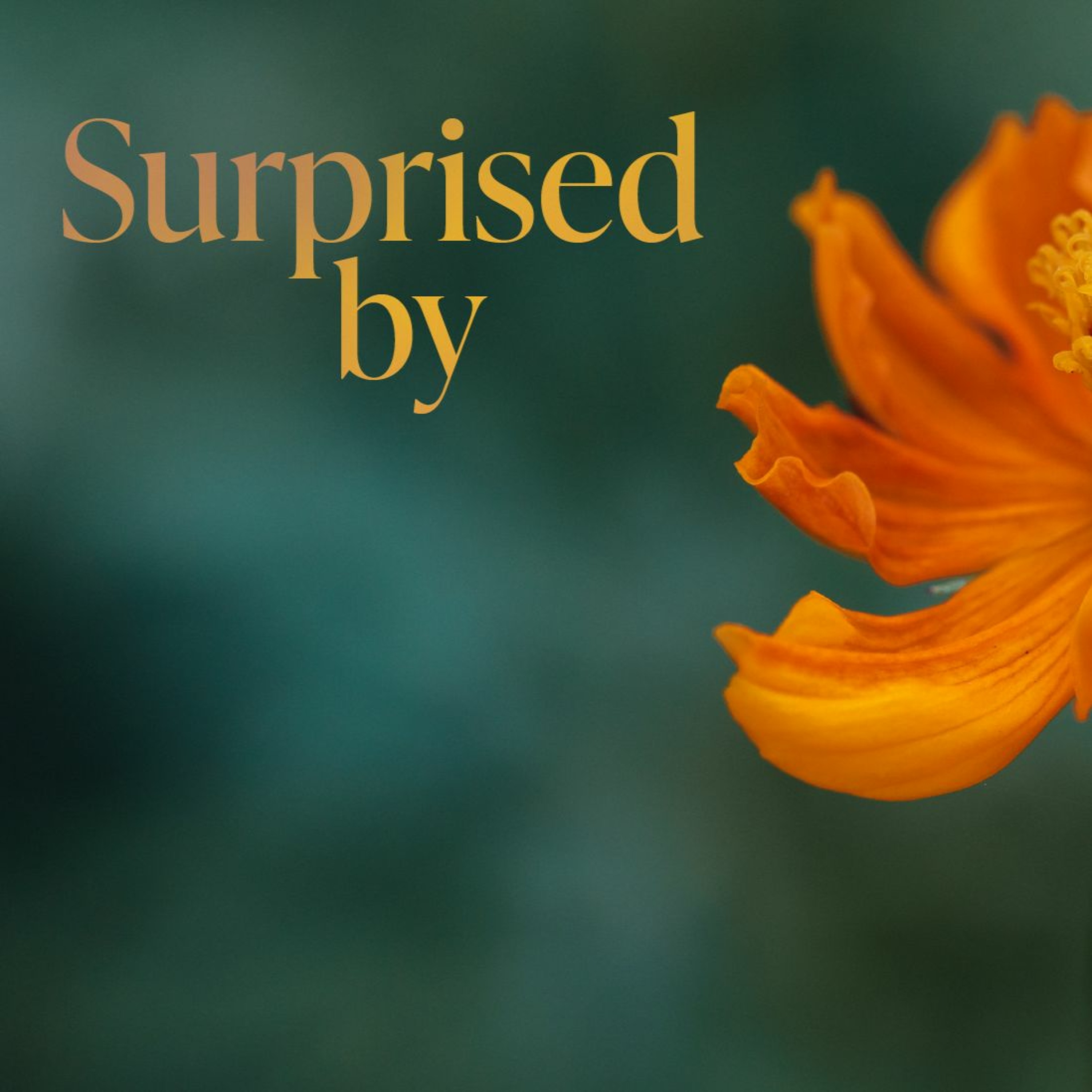 Surprised By Life | Surprised By... | Ethan Magness