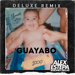 GUAYABO - MANUEL TURIZO (ALEX ESTEPA EXTENDED 88.)