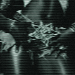 hotbody - (instrumental)