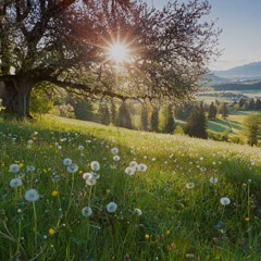 ☀️SpringMix 2025✨ [Progressive Trance]