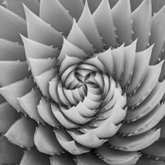 Upward Spiral