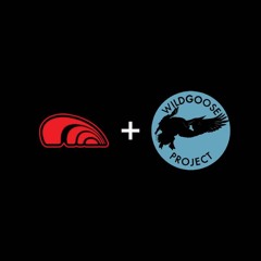 SameWave Radio - In Between Dreams (WildGoose Live Mix) - 7:22:25