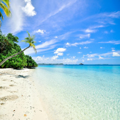 Olhar o mar