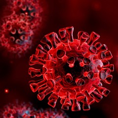 Coronavirus (COVID-19) and Epilepsy