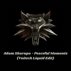 Adam Skorupa - Peaceful Moments (Voitech Liquid Edit) Free Download