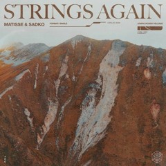 Matisse & Sadko - Strings Again Vs Set Fire To The Rain (Martin Garrix Mashup)