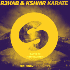 R3HAB & KSHMR - Karate (David RS Moombahton Bootleg)