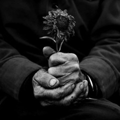 sorrow