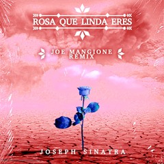 Joseph Sinatra - Rosa Que Linda Eres (Joe Mangione Radio Rmx)
