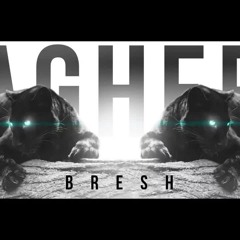 Bresh - Baghera (Paul K. Instrumental)