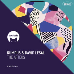 RUMPUS, David LeSal - The Afters