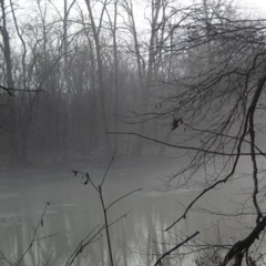 laglacewhytie - regrettable