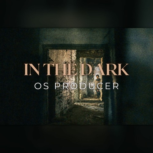 IN THE DARK