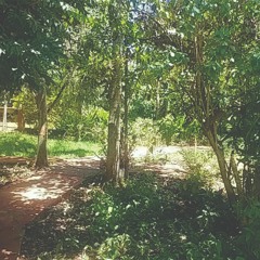 14.12.2022 - Livro BOA NOVA - Lição O SERVO BOM - PARÁBOLA DOS TALENTOS