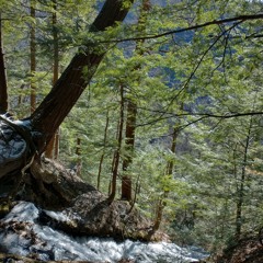 [Beat] Into Oblivion