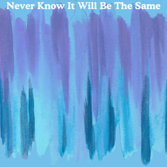 LANDR-Never Know It Will Be The Same-Warm-Low