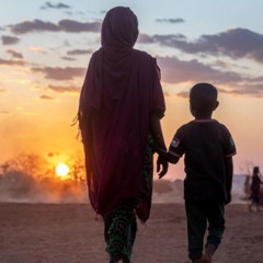 Hindi Bulletin 28 November 2025