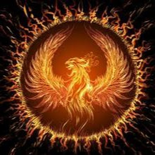 Phönix Aus Der Asche EP