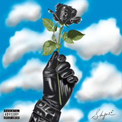 D+U,C.C. SHYNE V-DAY MIX 005