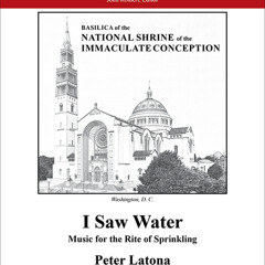 I Saw Water by Peter Latona