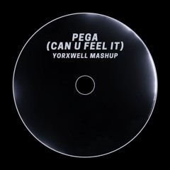 Hugel, Andruss x Swedish House Mafia - Pega (Can U Feel It) [YorXwell Mashup]