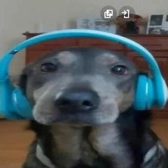 gunky ass playlist