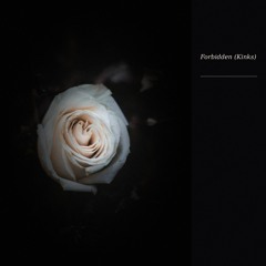 Forbidden ("Kinks") [Deep House Remix]