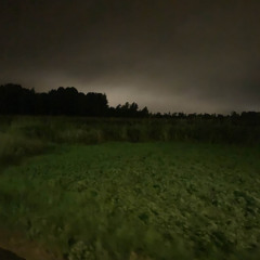 albert epsteibn (Troy Solo)