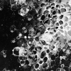 Krimma - Double Bubble