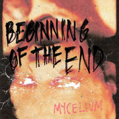 3 - Beginning of the End (realisation)