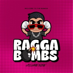 RAGGA BOMBS VOL 9 - (10 MASHUPS / EDITS For Sale)