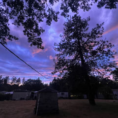 Orange Juice // Noah Kahan