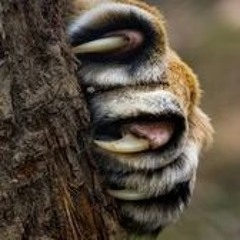 beware of the hundredth