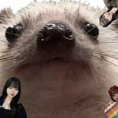 옐밍이 화났을 때 들려주면 가시 쏘옥 들어가는 믹셋