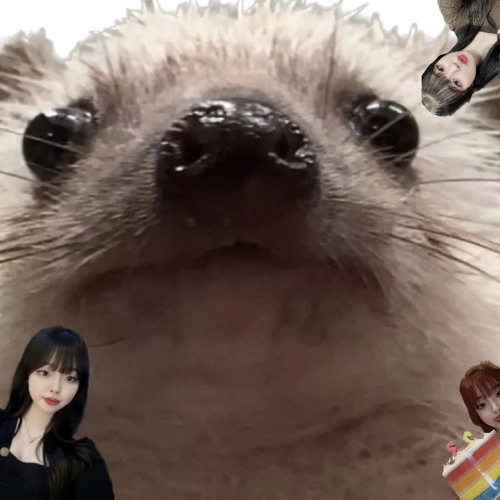 옐밍이 화났을 때 들려주면 가시 쏘옥 들어가는 믹셋