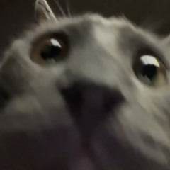 %333%