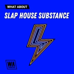W. A. Production - What About: Slap House Substance