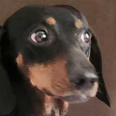 Kweller & Enzo Cello - 202 (Nilmá Remix)